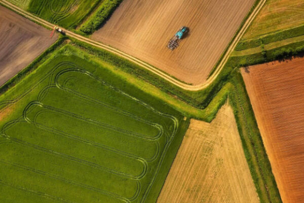 When Is a Land Transaction Legally Complete in Indonesia