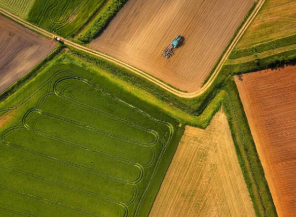 When Is a Land Transaction Legally Complete in Indonesia